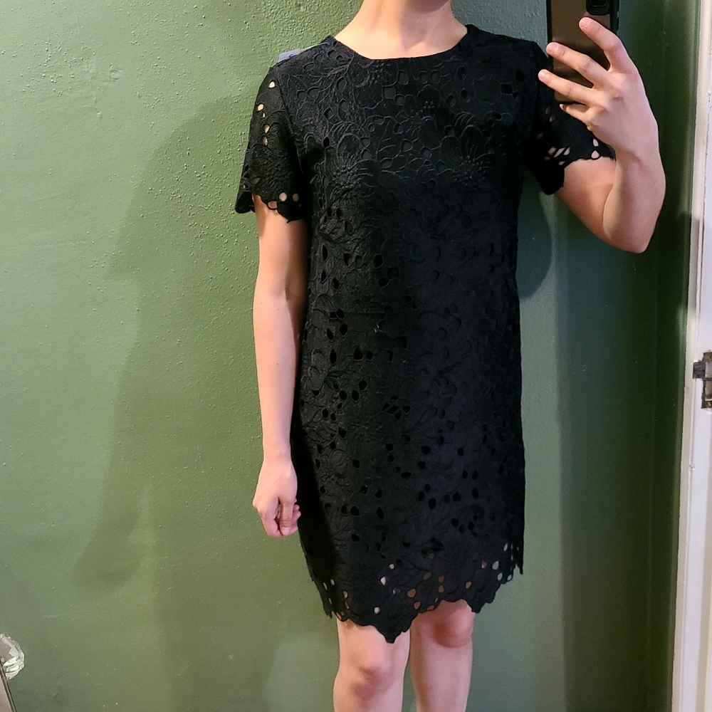 Olivaceous Lace Shift Dress